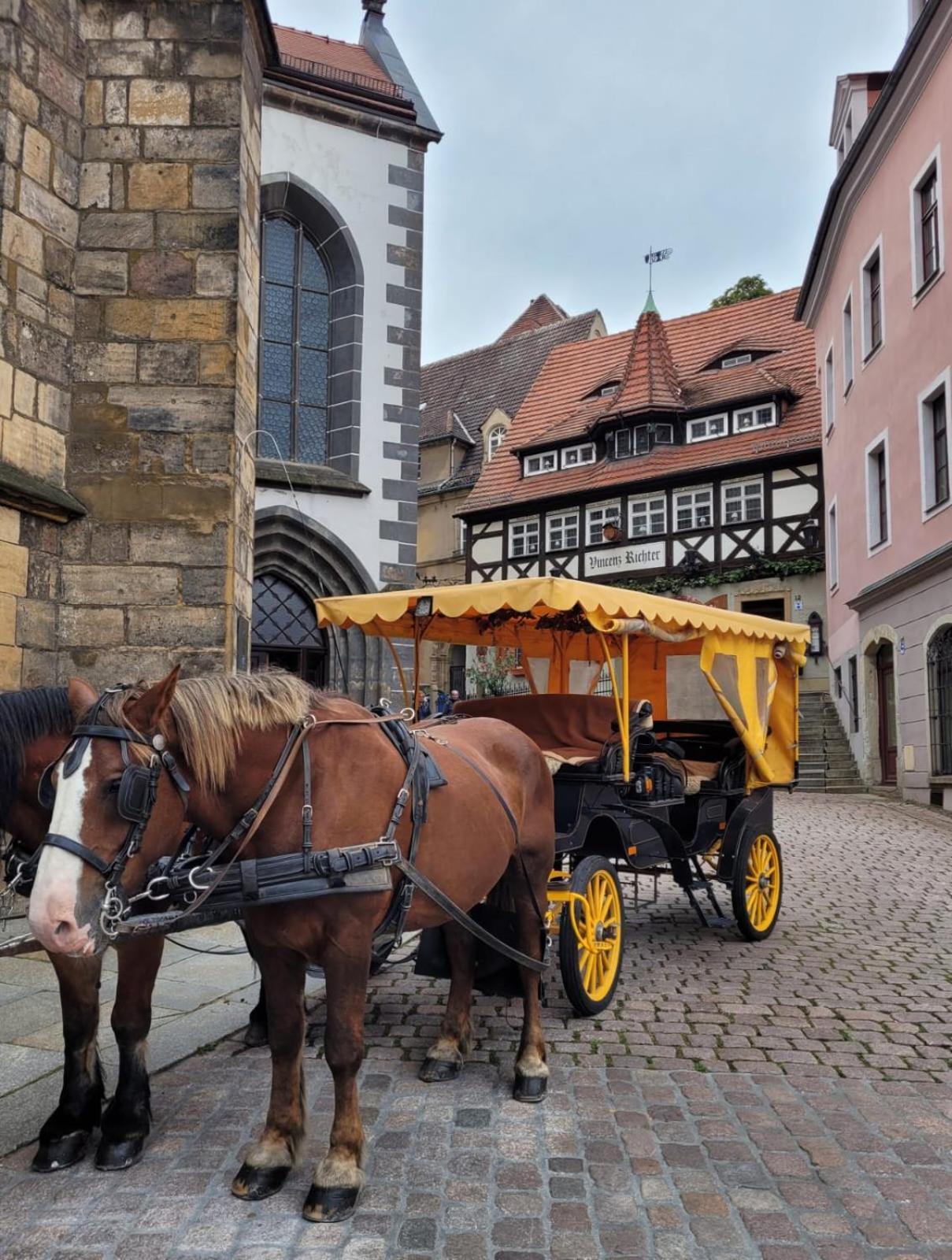 Cosel Apartment Altstadt Radfahrer Balkon ไมเซน ห้อง รูปภาพ