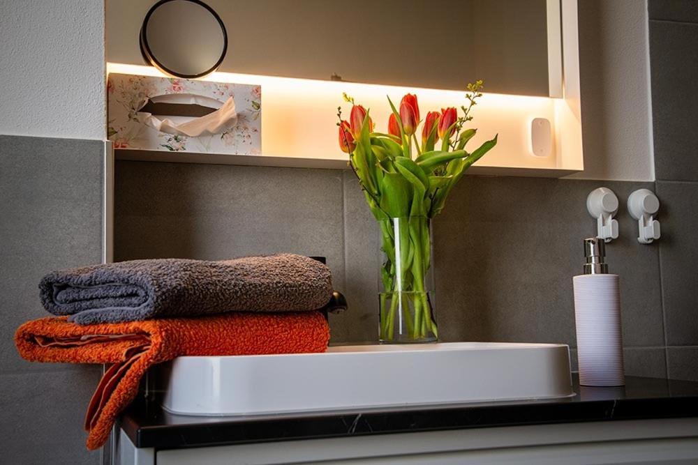Cosel Apartment Altstadt Radfahrer Balkon ไมเซน ภายนอก รูปภาพ